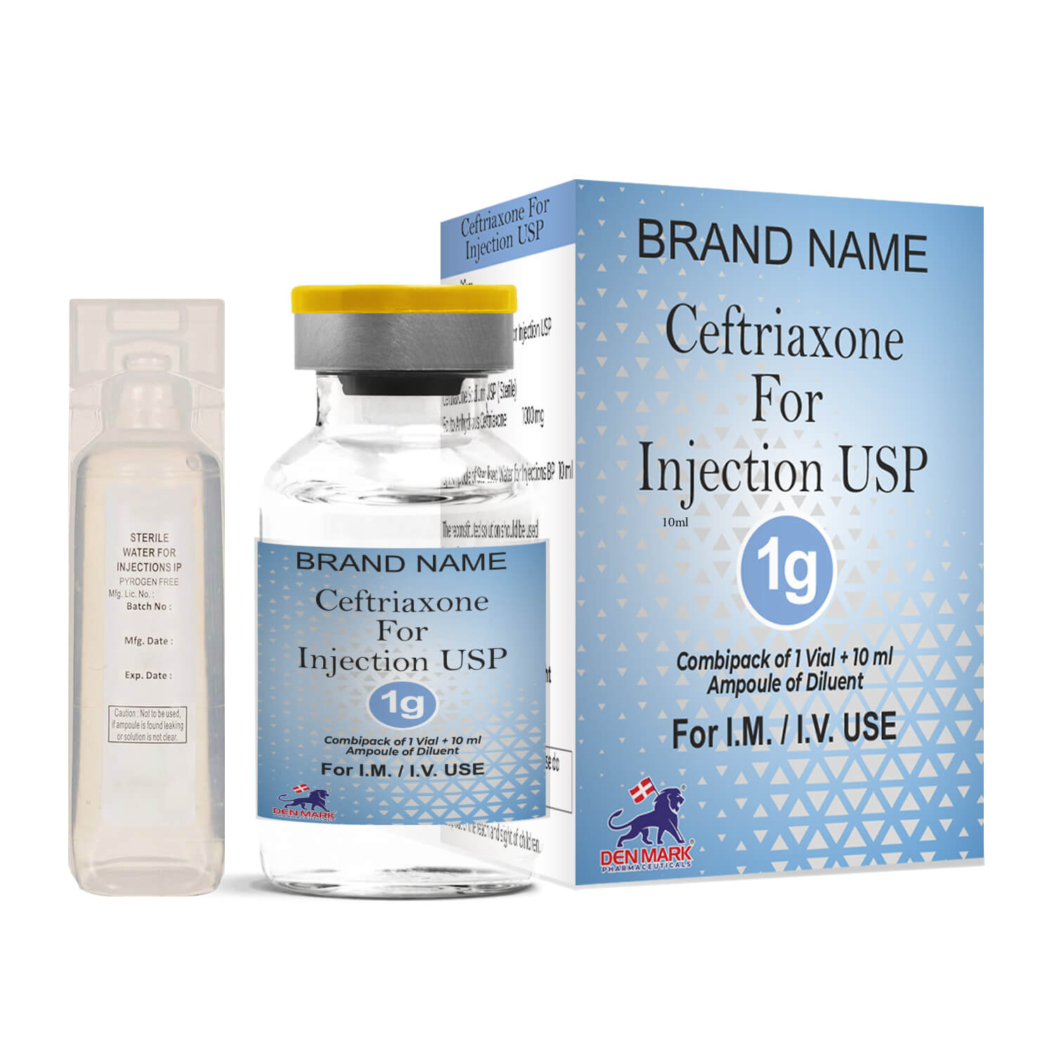 Ceftriaxone 1 gm Injection